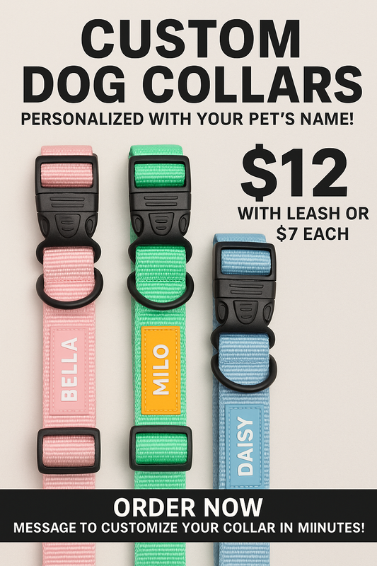 Pink custom dog collar with pet name tag by Shamus & Co
	“Green adjustable dog collar personalized with name”“Blue dog leash customizable with DTF print”
“Personalized pet drying towel pastel pink with paw print”
	“Custom dog toy basket with name printed on rope bin”
“Set of pastel dog collars in multiple sizes for customization”